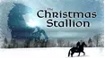 The Christmas Stallion
