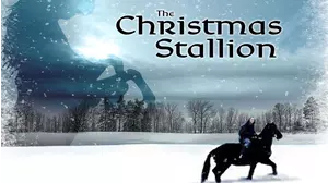 The Christmas Stallion