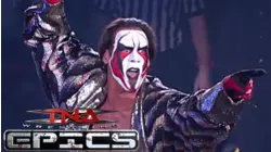 Best of Sting at Bound for Glory