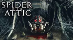 Spider in the Attic