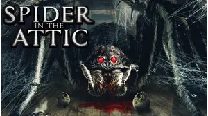 Spider in the Attic