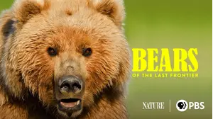 Bears of the Last Frontier