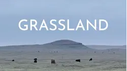 Grassland