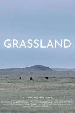 Grassland