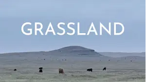 Grassland