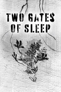 Two Gates of Sleep