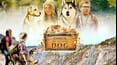 Timber The Treasure Dog