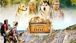 Timber The Treasure Dog
