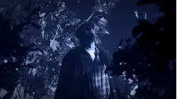 The Falkirk Triangle