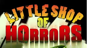 The Little Shop Of Horrors