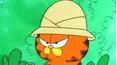Garfield and Friends