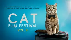 Cat Film Festival Vol. 3