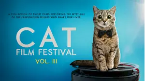 Cat Film Festival Vol. 3