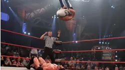 TNA Final Resolution 2011