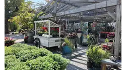 Road Trip Close To Home: Garden center transforms into one-stop destination for shopping, dining and wellness experiences
