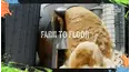 World's Messiest Fails
