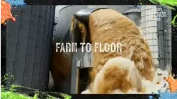 Farm to Floor