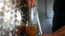 Made in Connecticut: New England Cider Company