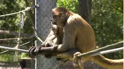 Road Trip Close To Home: Bridgeport's Beardsley Zoo highlights new exhibits, rare species and spring arrivals