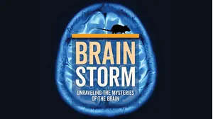 Brainstorm: Unraveling The Mysteries Of The Brain