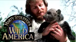 Season 5, Wild Babies