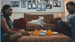Dognapped