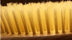 Redbrush Tea and More