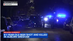 Man found shot to death in South Side gangway: CPD