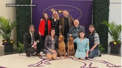 Girl with rare cancer lives her dream at Westminster Dog Show