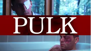 Pulk