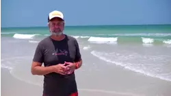 Top 5 Boarding