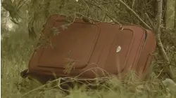 The Boy and the Suitcase