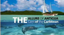The Allure of Antigua: Gem of the Caribbean