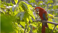 Costa Rica