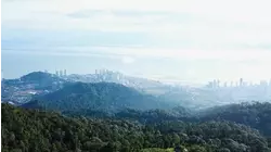 Resilience