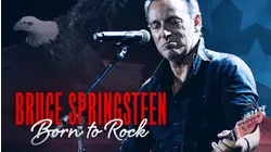 Bruce Springsteen: Born to Rock