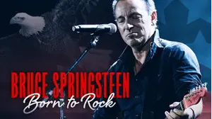 Bruce Springsteen: Born to Rock