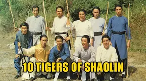 10 Tigers of Shaolin
