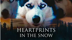 Heartprints in the Snow