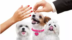 It Takes Three