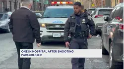 Man injured in Parkchester shooting