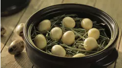 The Big Smoke, Part II