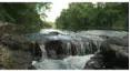 Scenes from a Creek