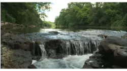 Scenes from a Creek
