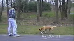It Takes Two