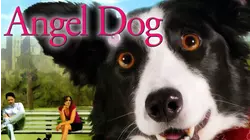 Angel Dog