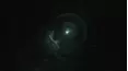 Paranormal Encounters