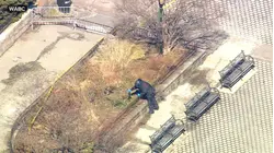 Bomb squad investigates devices near Mamdani's residence