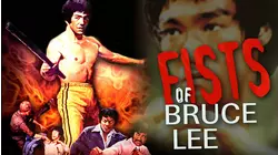 Fists Of Bruce Lee