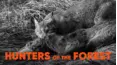 Hunters of the Forest